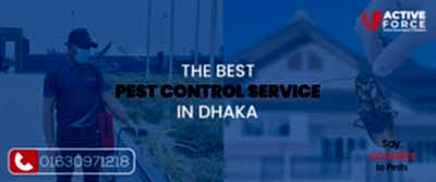 Say Goodbye to Pests with the Best Control Service in BD | Active Force